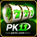 pk11 game apk logo